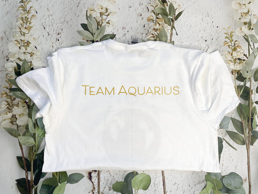 Team Aquarius
