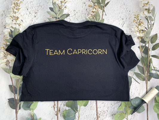 Team Capricorn