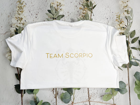 Team Scorpio