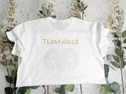 Team Aries
