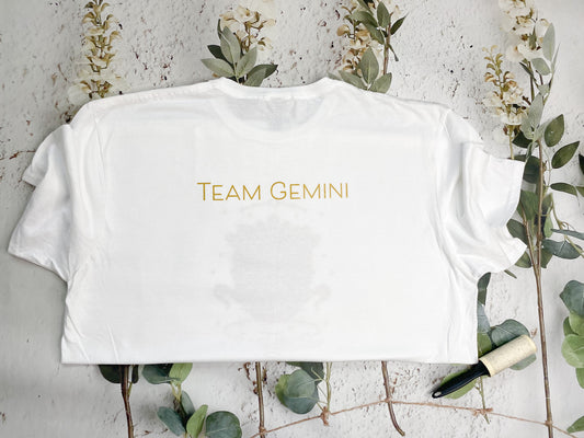 Team Gemini