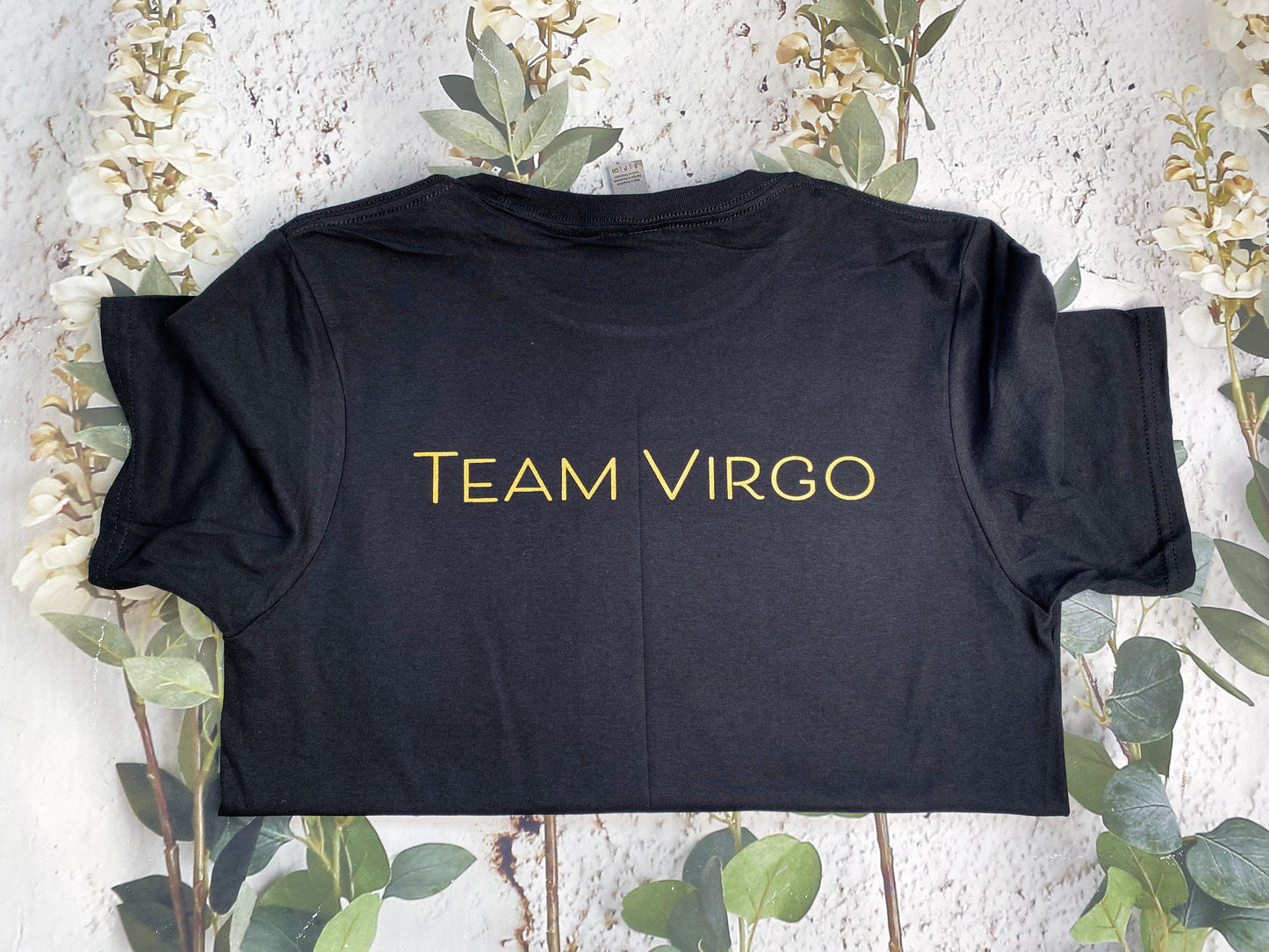 Team Virgo